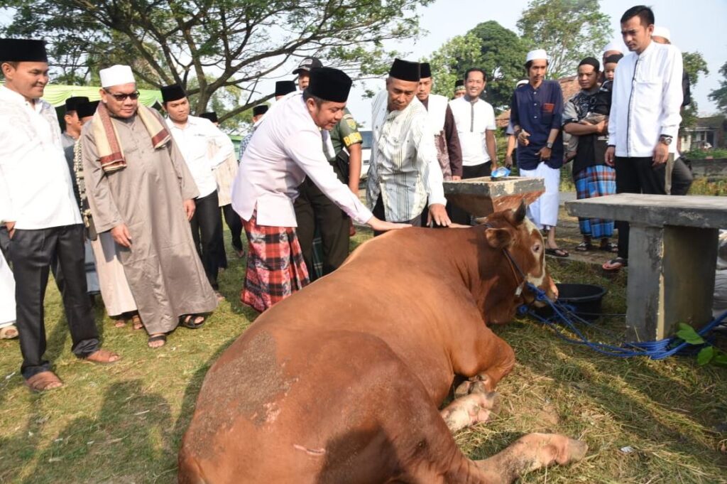 #korban #aidiladha #hariraya #ibadah #agama #aqiqah